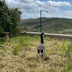 Antica Casa Nel Borgo Medievale Di * Prata